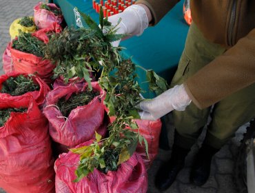 En prisión preventiva quedó agricultor que ocultó 20 kilos de drogas en camión en Pozo Almonte