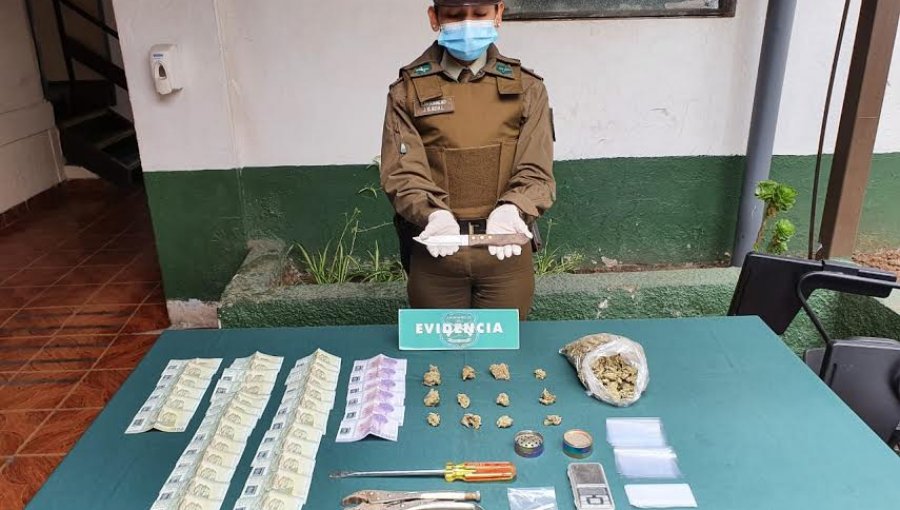 Fuerte olor a marihuana delató a dos sujetos en feria de Viña: Carabineros los detuvo y decomisó arma cortopunzante