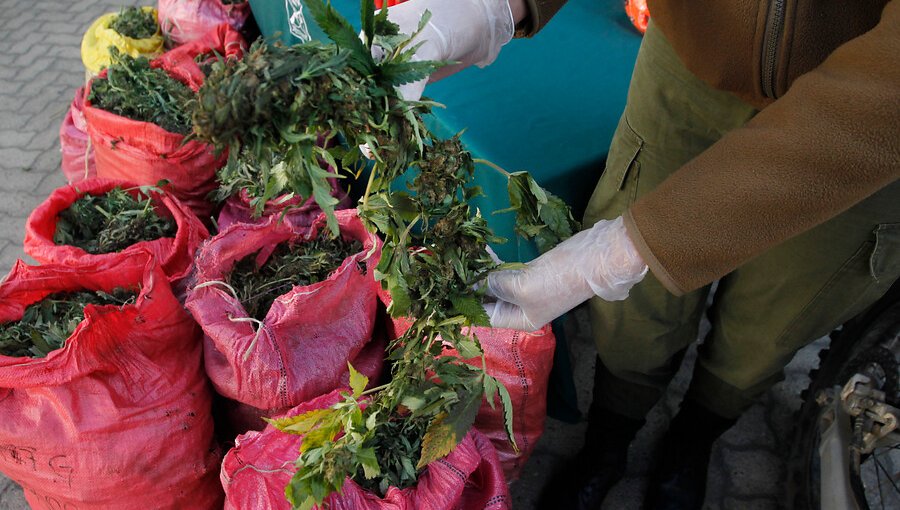 En prisión preventiva quedó agricultor que ocultó 20 kilos de drogas en camión en Pozo Almonte