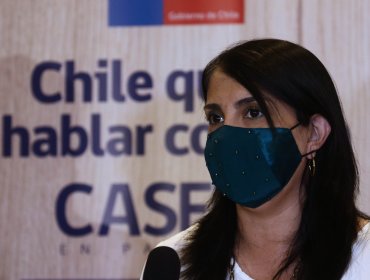 Ministra Karla Rubilar: "No es posible escribir una Constitución sin pueblos originarios"