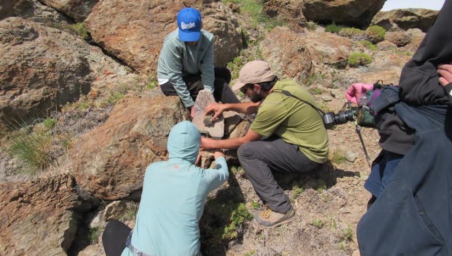 Con cámaras trampa, estudiantes UPLA y habitantes registran fauna silvestre de Putaendo