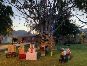 Creativos árboles de Navidad comunitarios iluminan la Plaza de Armas de Cabildo