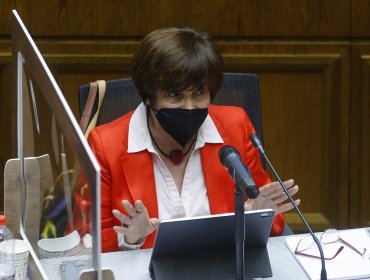 Diputada Carmen Hertz y escaños reservados: "La proporción al porcentaje debería ser 25 escaños"