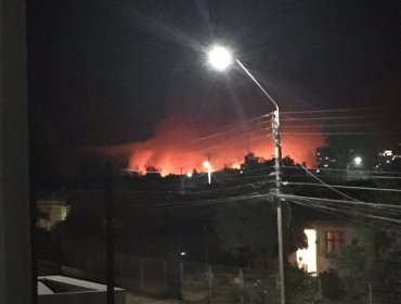 Alerta Amarilla para la comuna de Quilpué por incendio forestal cercano a sectores habitados