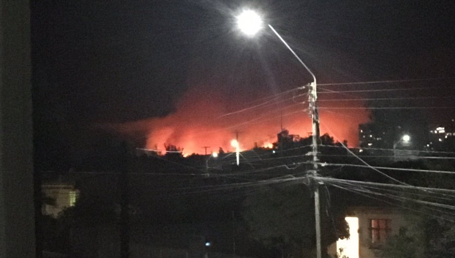 Alerta Amarilla para la comuna de Quilpué por incendio forestal cercano a sectores habitados