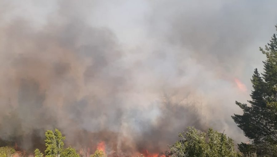 Declaran Alerta Roja para la comuna de Valparaíso por incendio forestal en Reserva Nacional Lago Peñuelas