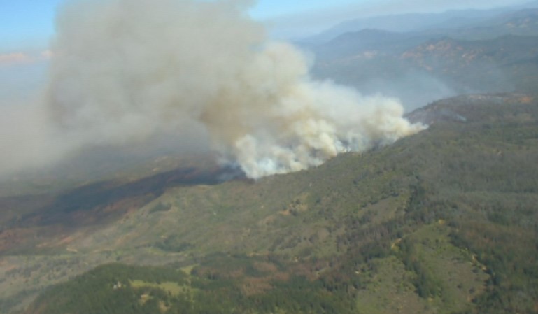 Incendio forestal ha consumido 280 hectáreas en Quilpué: Mantienen la Alerta Roja para la comuna