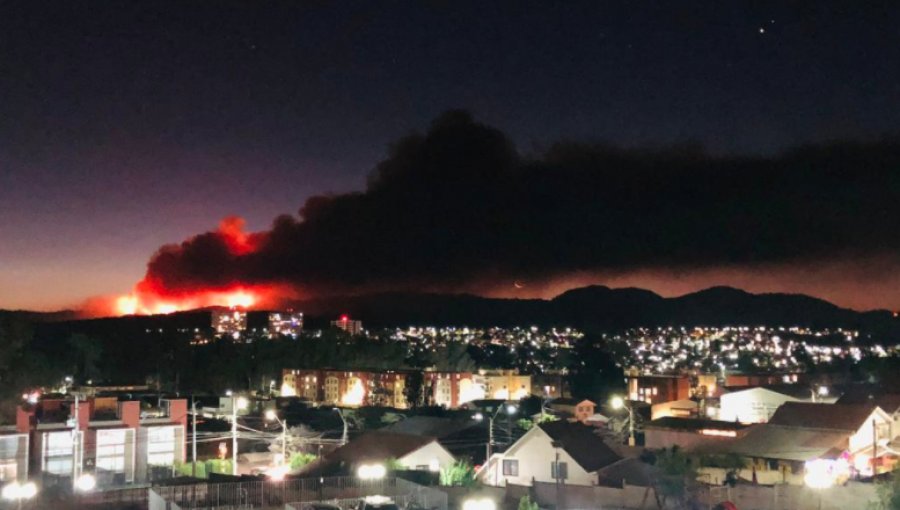 Decretan Alerta Roja en Quilpué por incendio forestal cercano a zonas habitadas