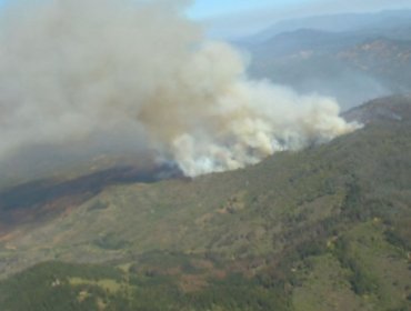 Incendio forestal ha consumido 280 hectáreas en Quilpué: Mantienen la Alerta Roja para la comuna