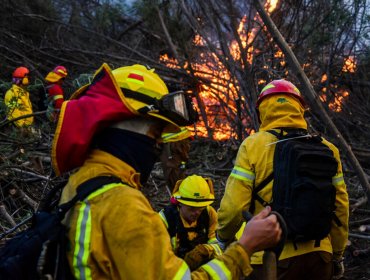 Incendio en Reserva Lago Peñuelas continúa activo y se mantiene la Alerta Roja para la comuna de Valparaíso