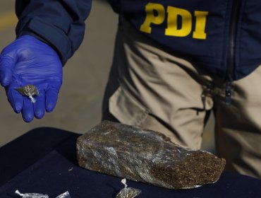 Interceptan cargamento de marihuana avaluado en $35 millones en Los Vilos