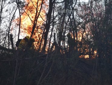 Alerta Roja en Valparaíso: Activos se mantienen dos incendios forestales en la Reserva Nacional Lago Peñuelas