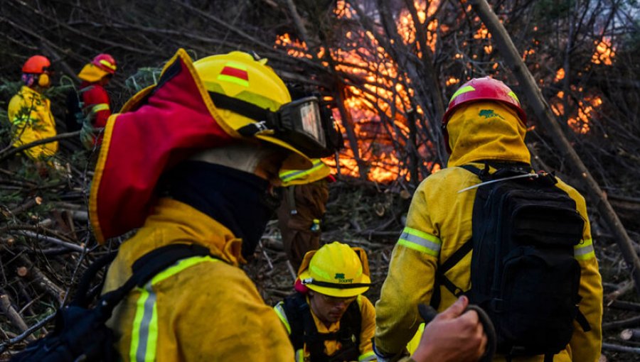 Incendio en Reserva Lago Peñuelas continúa activo y se mantiene la Alerta Roja para la comuna de Valparaíso