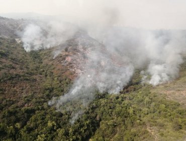 Incendio forestal en Quilpué ha consumido 328 hectáreas: se mantiene la Alerta Roja para la comuna