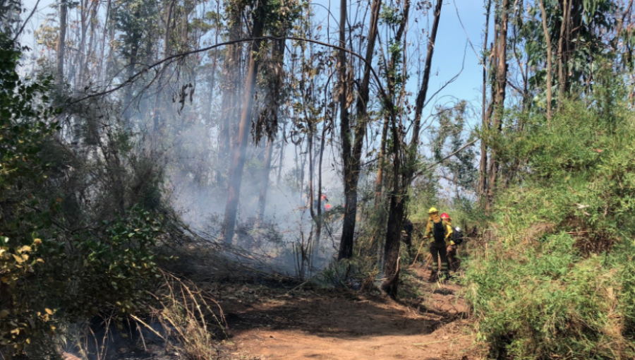 Activo se mantiene incendio forestal que afecta a la Reserva Nacional Lago Peñuelas de Valparaíso