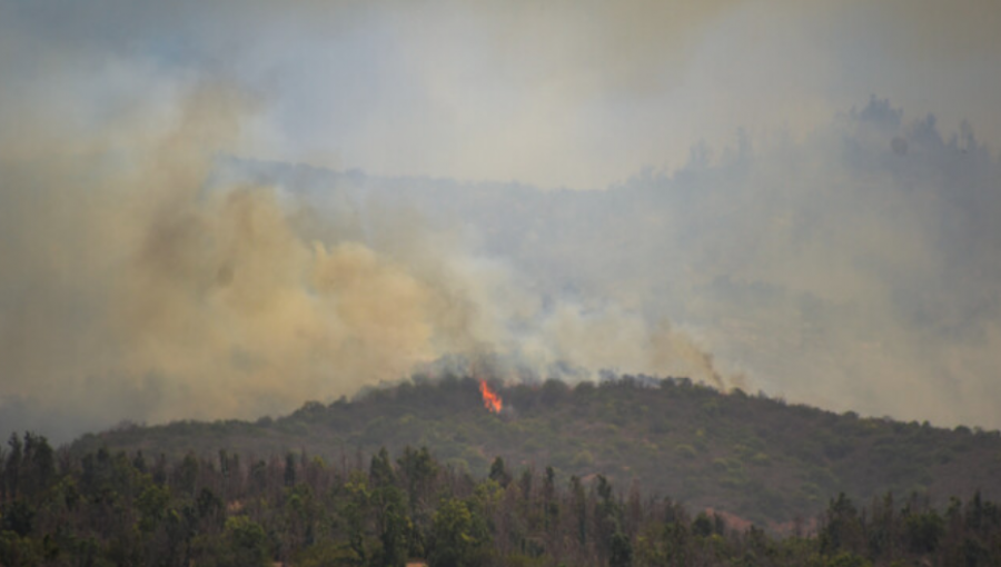 Equipos terrestres continúan trabajando para controlar incendio forestal en Quilpué: 280 hectáreas consumidas