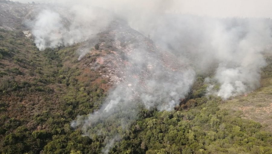 Incendio forestal en Quilpué ha consumido 328 hectáreas: se mantiene la Alerta Roja para la comuna