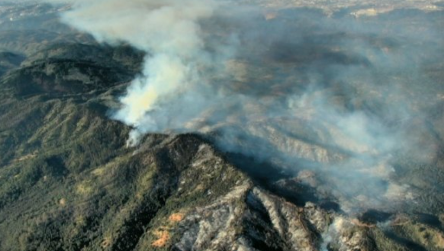 Incendio Forestal Quilpue Alerta Roja Y Corte Ruta Lo Orozco