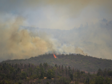 Equipos terrestres continúan trabajando para controlar incendio forestal en Quilpué: 280 hectáreas consumidas