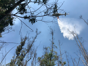 Activo, pero sin avance: Incendio forestal ha consumido 4,8 hectáreas de la Reserva Nacional Lago Peñuelas de Valparaíso