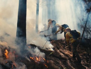 Incendio forestal en Quilpué ha consumido 328 hectáreas: Se mantiene la Alerta Roja para la comuna