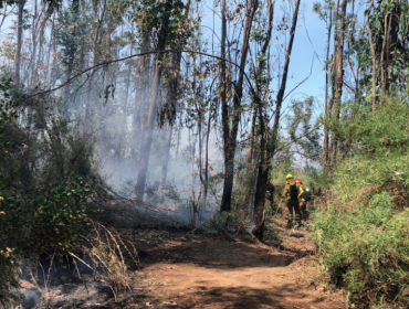 4,8 hectáreas ha consumido el incendio en Reserva Lago Peñuelas: Se mantiene la Alerta Roja para la comuna de Valparaíso