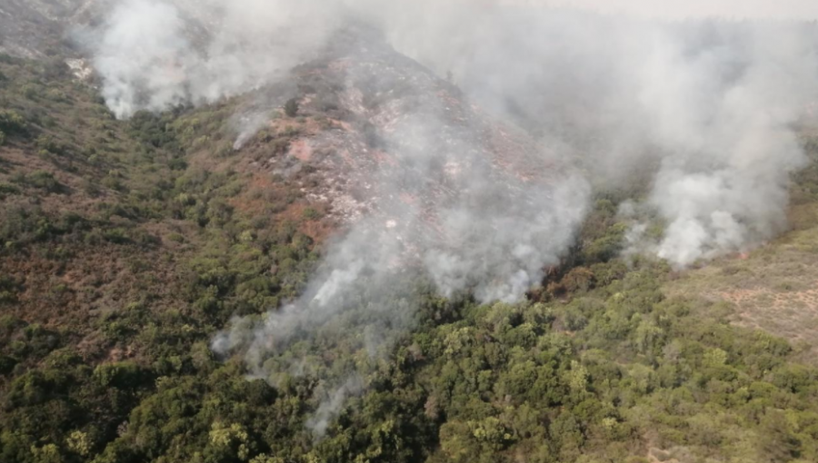 Incendio forestal en Quilpué ha consumido 328 hectáreas: sigue activo y se mantiene la Alerta Roja