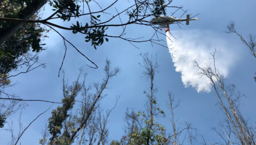 Activo, pero sin avance: Incendio forestal ha consumido 4,8 hectáreas de la Reserva Nacional Lago Peñuelas de Valparaíso