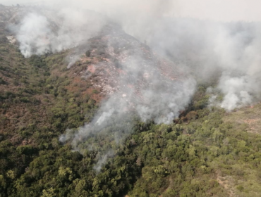 Incendio forestal en Quilpué ha consumido 328 hectáreas: sigue activo y se mantiene la Alerta Roja