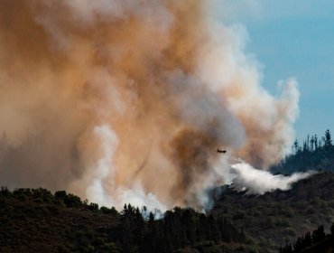 4,8 hectáreas han sido consumidas por incendio forestal que afecta a la Reserva Lago Peñuelas