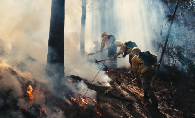 Incendio forestal en Quilpué ha consumido 328 hectáreas: Se mantiene la Alerta Roja para la comuna