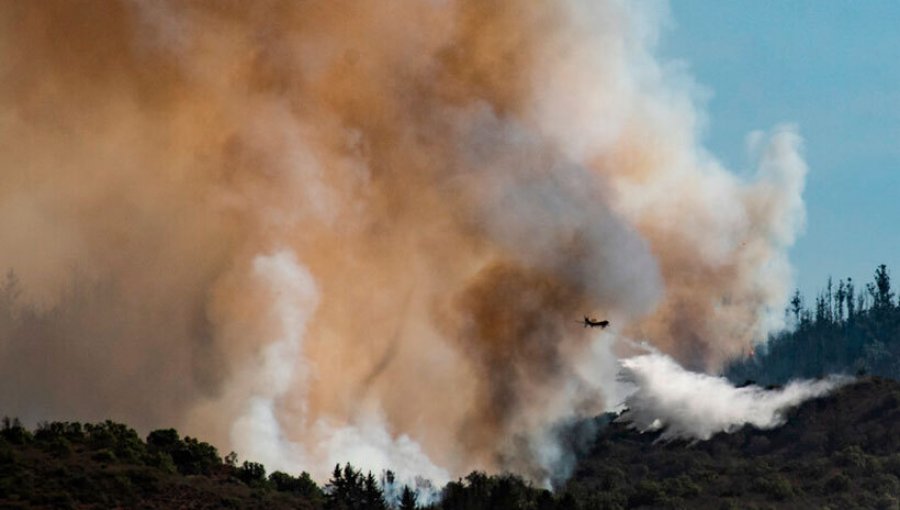 4,8 hectáreas han sido consumidas por incendio forestal que afecta a la Reserva Lago Peñuelas