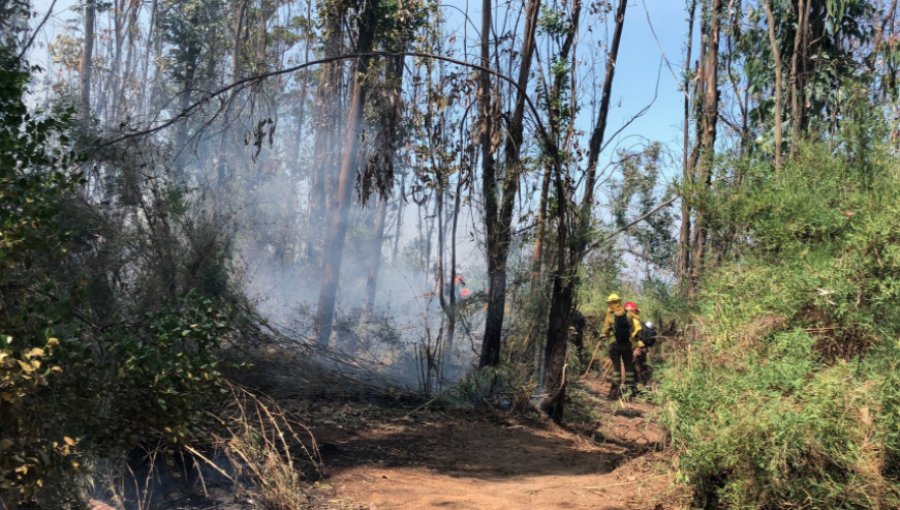 4,8 hectáreas ha consumido el incendio en Reserva Lago Peñuelas: Se mantiene la Alerta Roja para la comuna de Valparaíso