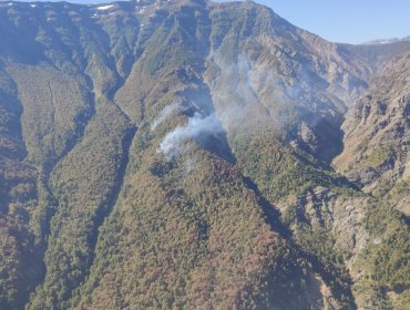 Declaran Alerta Roja para la comuna de San Clemente por incendio forestal que se acerca a la Reserva Nacional Altos de Lircay