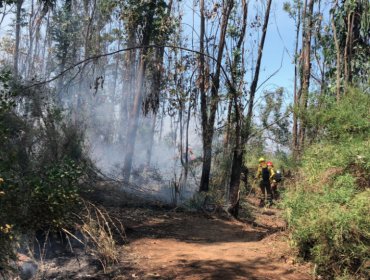 Controlan incendio en Reserva Lago Peñuelas y decretan Alerta Amarilla para la comuna de Valparaíso