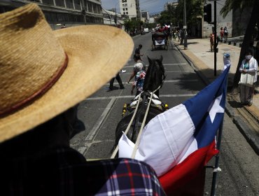 Vocero de los coches victoria: “Estamos molestos, porque somos parte de Viña"