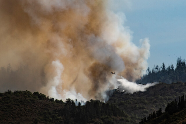 Alerta Roja en Quilpué: Incendio forestal se mantiene activo y ha consumido 331 hectáreas