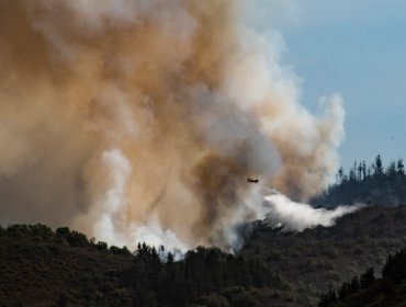 Alerta Roja en Quilpué: Incendio forestal se mantiene activo y ha consumido 331 hectáreas