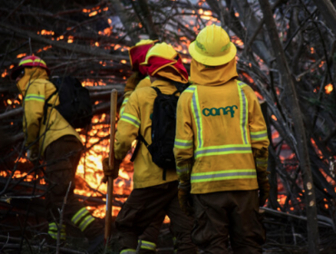 Incendio forestal en Parque Nacional Lago Peñuelas fue controlado: Valparaíso se mantiene en Alerta Amarilla