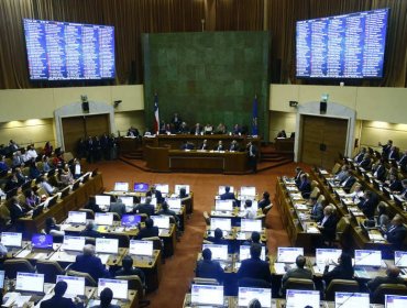 Cámara de Diputados aprobó insistencia del Gobierno por el reajuste del sector público