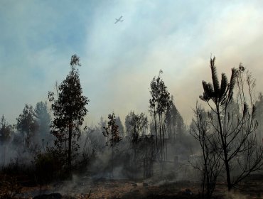 Extinguen incendio que consumió 331 hectáreas en Quilpué y cancelan la Alerta Amarilla para la comuna