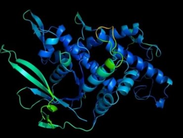 Los nueve hitos más importantes de la ciencia en 2020 además de las vacunas contra el coronavirus