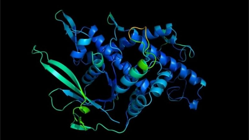 Los nueve hitos más importantes de la ciencia en 2020 además de las vacunas contra el coronavirus