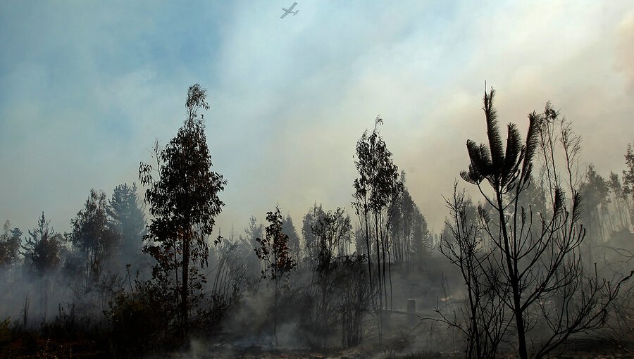 Extinguen incendio que consumió 331 hectáreas en Quilpué y cancelan la Alerta Amarilla para la comuna