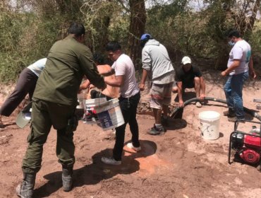 Con arraigo nacional y firma quincenal queda madre del bebé de 9 meses que murió tras caer a canal de regadío en San Pedro de Atacama