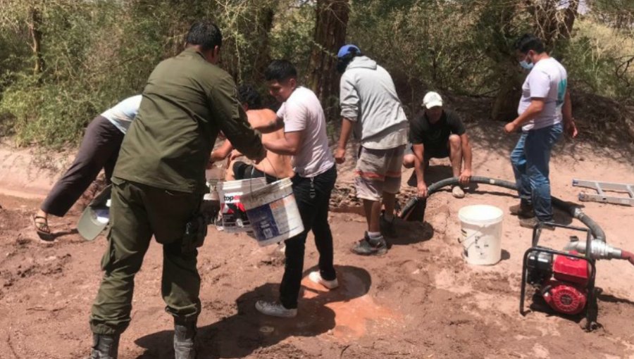 Con arraigo nacional y firma quincenal queda madre del bebé de 9 meses que murió tras caer a canal de regadío en San Pedro de Atacama