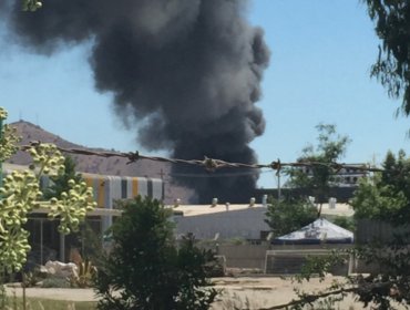 Incendio de grandes proporciones moviliza a equipos de emergencia a bodegas en San Bernardo