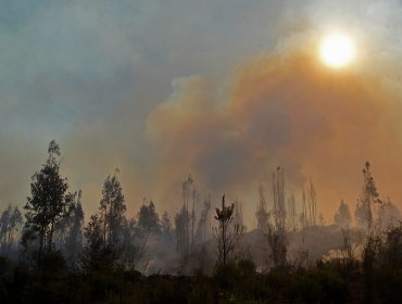 Cancelan la Alerta Temprana Preventiva para la región de La Araucanía por amenaza de incendio forestal