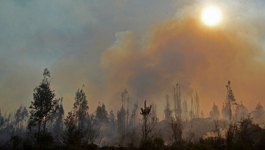 Cancelan la Alerta Temprana Preventiva para la región de La Araucanía por amenaza de incendio forestal