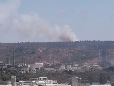 Incendio forestal de grandes proporciones se registra en Concón: Bomberos y Conaf trabajan en la emergencia